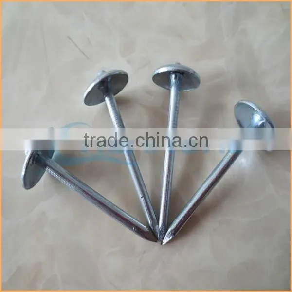Top Quality Roofing Nails With Pvc Washer Trusted Chuanghe Suppliers From Com photo-4