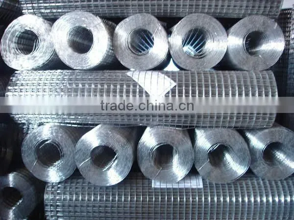 Galvanized Welded Wire Mesh