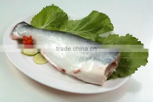 Basa Fish/frozen Pangasius Fish/Viet Nam Seafood photo-3