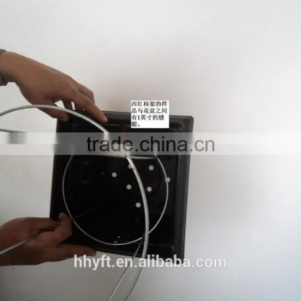 3mm Electro-galvaized Tomato Trellis High Quality China Supplier on Sale photo-4