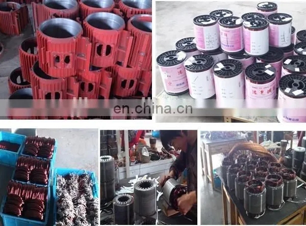 Energy Saving Electric Motor for Car photo-6