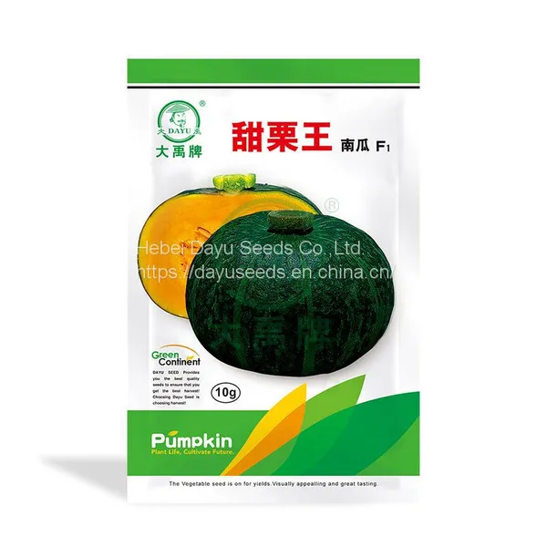 Medium/large Fruit Variety Sweet Waxy Pumpkin Pumpkin Seeds Suppliers Chinese Pumpkin Seeds For Sale