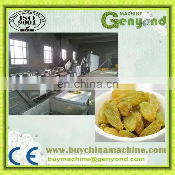 Raisin Cleaning Machine for the Raisin Processing photo-3