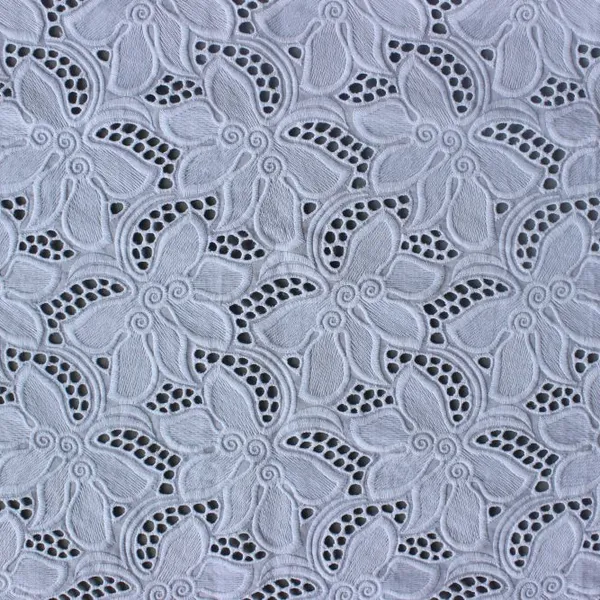 XE059 Bleach Eyelet Fabric Schiffli Cotton Lace Fabric Hollow Out For Garments photo-2