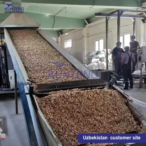 Automatic Continuous Drying Machine Peanut Chickpea Mesh Belt Drying Machine EPC photo-4