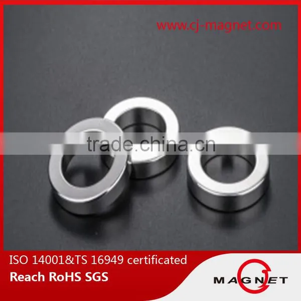 High Performance Ring Neodymium Magnet for Speaker photo-3