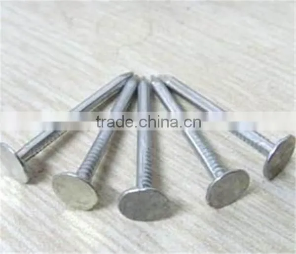Galvanized Clout Nails Factory photo-5