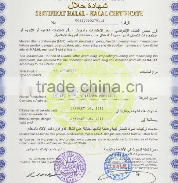 Corn Gluten Feed With Bulk Vessel photo-5