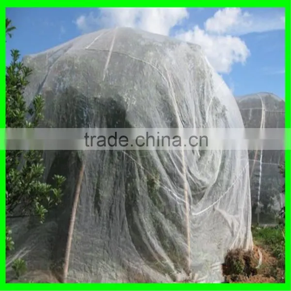 UV Resistant Netting for Fruit Files Anti Insect Net photo-4