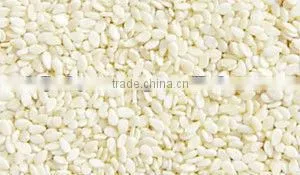 Hulled WaterMelon Seeds photo-3