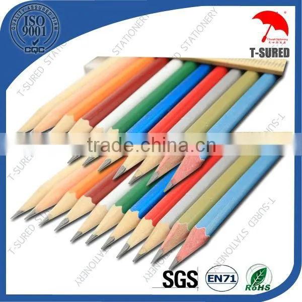 Hexagonal Custom Painting HB Pencil In Bulk