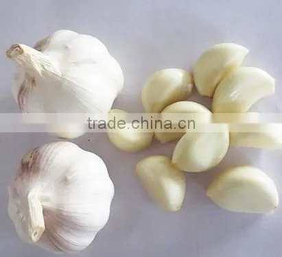 2016 NEW CROP GARLIC photo-4