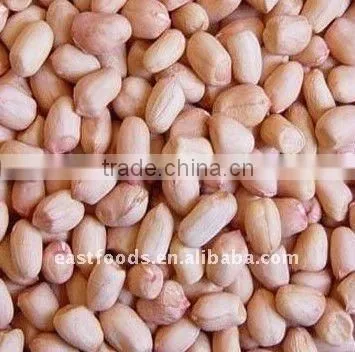 Peanut Kernel Round Type From China photo-3