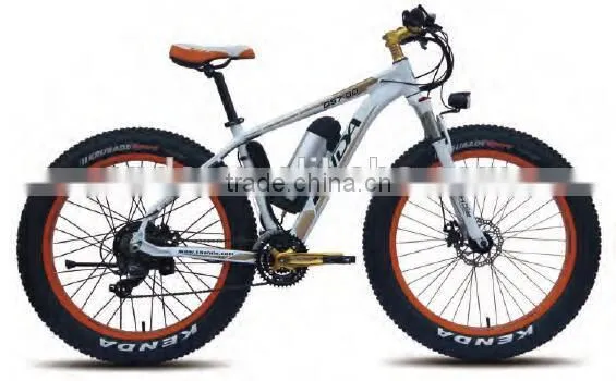 Snow Ebike, Fat Tire Ebike, TDE26M010