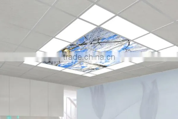600x600 New Led Advertising Frameless Cost Effective Innovative Flexible Led Panel Producer photo-3