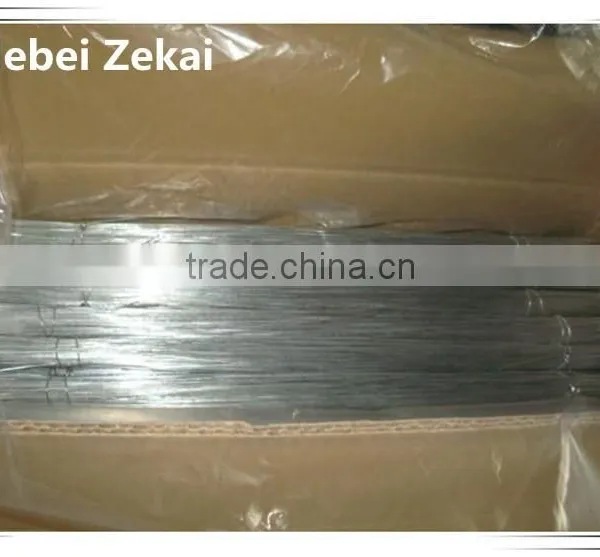 Straight Cut Electro Galvanized Wire Factory Price