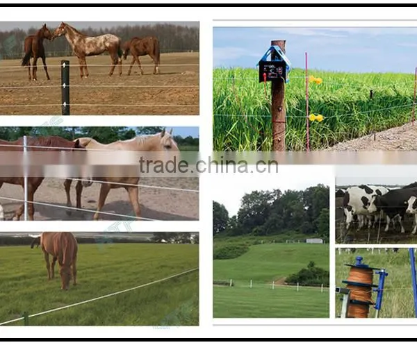 Electric Fence Gate Bungee Cord of Elastic Rope photo-4