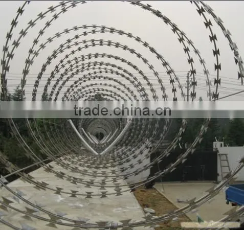 Hot Dipped gi Barbed Wire Cheap Price per Roll (Tommy,website:zheng.tommy1,whatsapp/viber/wechat:86-18032821161) photo-4