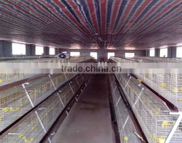 Anping Factory Chicken Egg Laying Cage for Farm photo-6