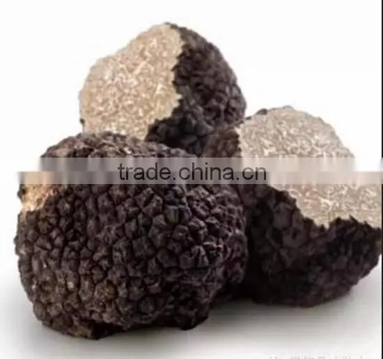 Truffle/Truffe photo-3