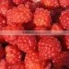 Food Grade Raspberry Powder Manufacture ISO, GMP, HACCP, KOSHER, HALAL Certificated photo-2