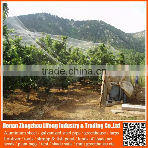 Anti Bird Netting / pe Mist Bird Net / Plastic Anti Bird Netting photo-2