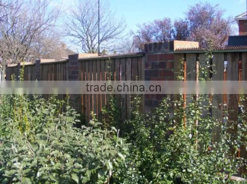 Fence Wall Spikes Anti Bird Pigeon Contorl Spike photo-3