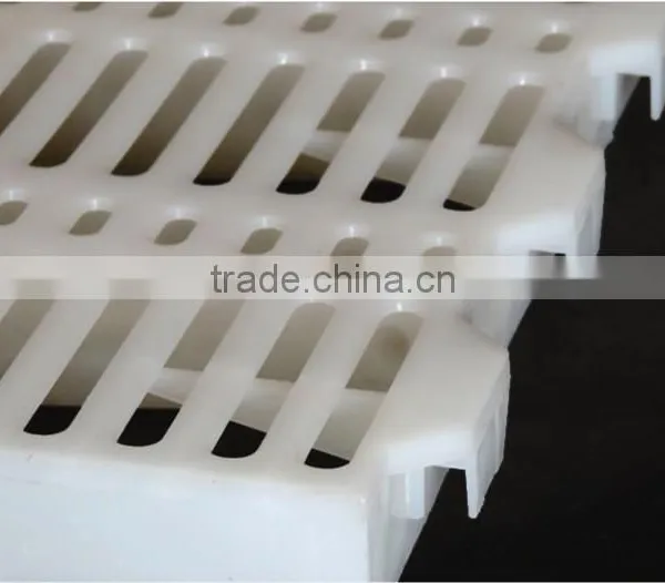 Plastic Slat Floor/poultry Flooring/pig Equipment photo-4