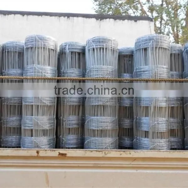 Wholesale Bulk Cattle Fence photo-5