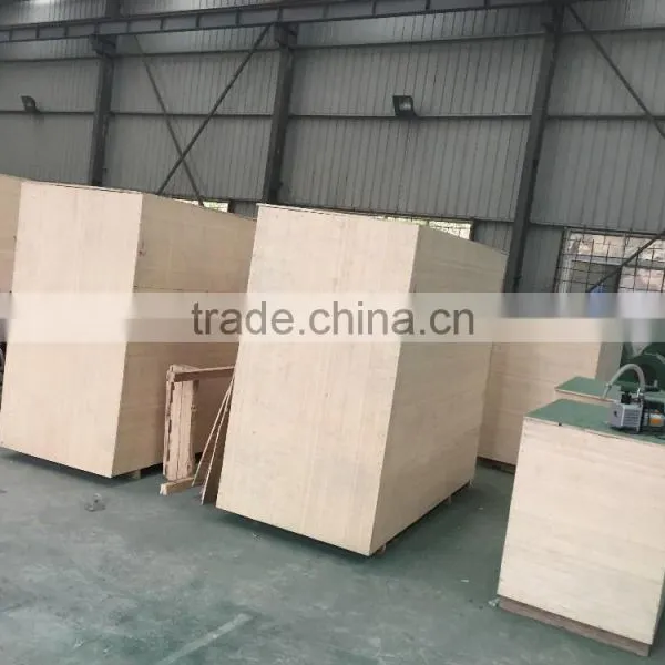 Agriculture Processing Machinery Sesame Oil Press Machine in Stock photo-5