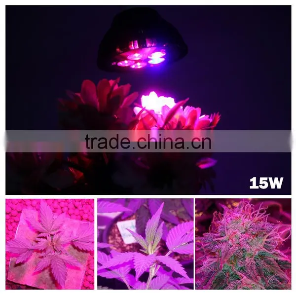 High Efficient 15w LED Grow Light, Collee Plant Grow Lights E27 Growing Bulbs For Garden, Plant, Greenhouse photo-5