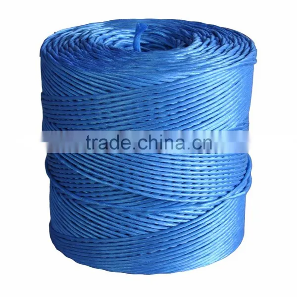 Agricultural Packing Baler Rope Twine Making Machine/tearing Film Making Machine/PP photo-5