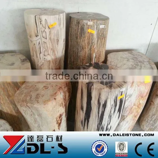 Petrified Wood,high Value Luxary Natural Stone for Collection photo-3