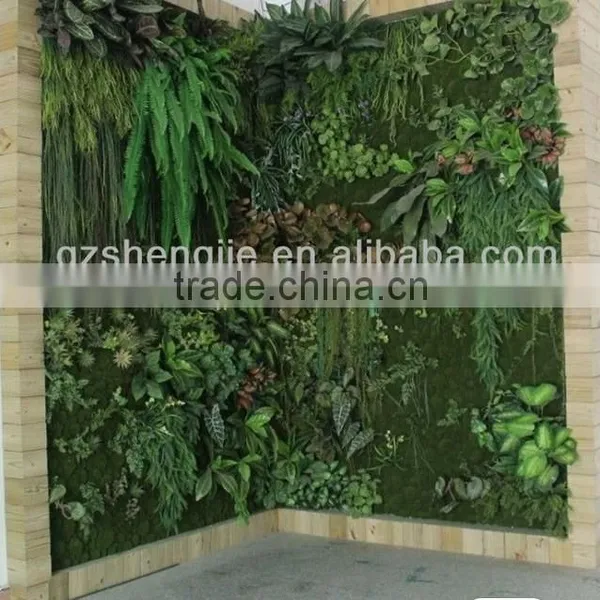 Plastic Garden Walls,vertical Green Wall photo-6