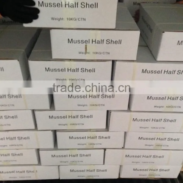 IQF Half Shell Blue Mussel photo-6