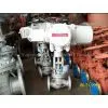 Globe Valve