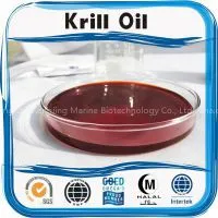 Health Food China Manufacturer Antarctic Krill Oil