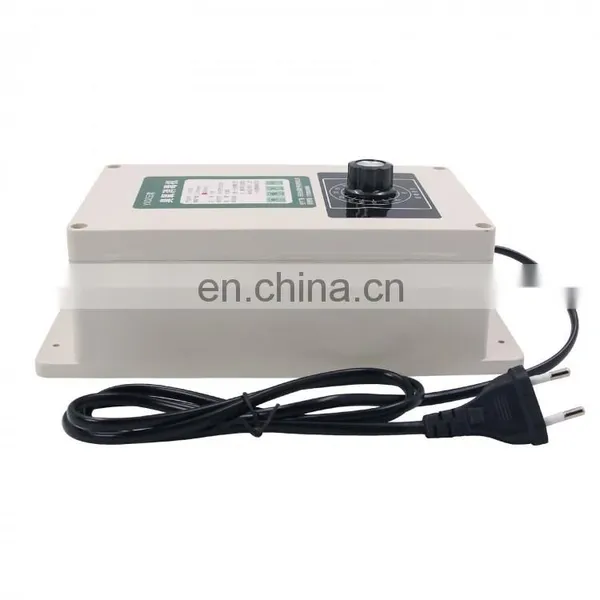 110V 220V 2000mg/h Ozone Generator Water Purifier Water Ozonizer w/ Timer For Fish Tank Fruit Vegetable photo-2
