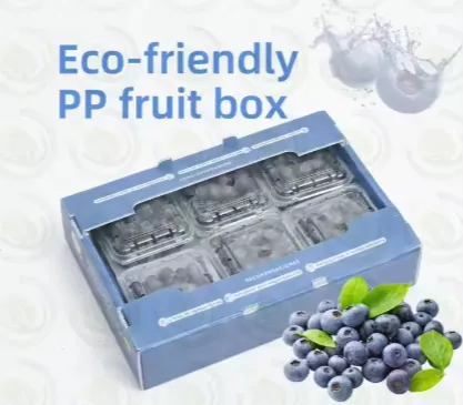 Wholesale Corrugated PP Plastic Fruit & Vegetable Crates – Custom Packaging Box Factory photo-3
