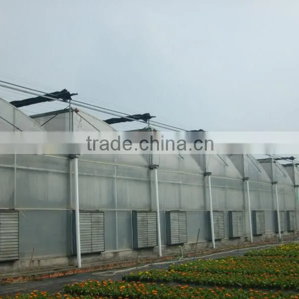 Hot Dipped Galvanized Film Green House photo-2