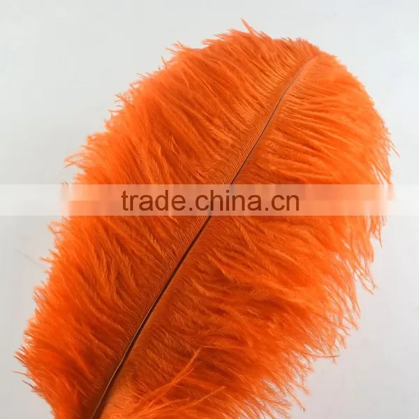 Wholesale Natural Ostrich Feather, Colored Ostrich Feathers for Wedding and Party Decoration photo-5