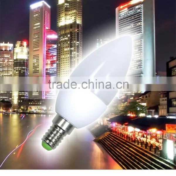 2W 220V Flame Shape or Bullet Shape Candle Light photo-2