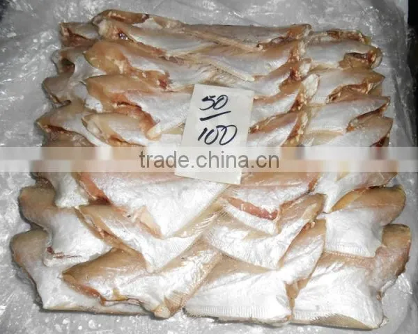 FROZEN LEATHER JACKET FISH photo-6