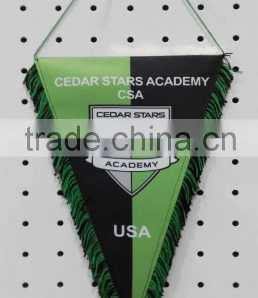 Printed Pennant With Colored Fringe photo-2