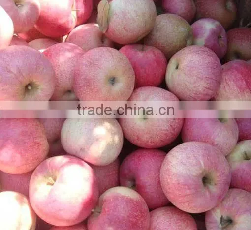 China Qinguan Apple