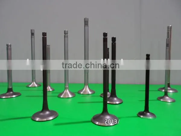 056109601A & 056109611A Engine Valve for Passat photo-3