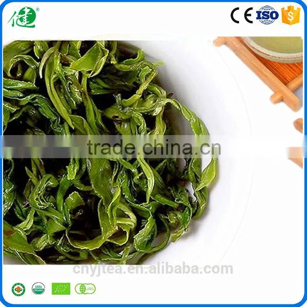 China Free Additives Green Dried Tea Leaves Organic Green Tea photo-3