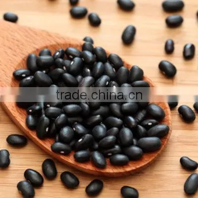 New Crop Kidney Beans, Black Beans With High Quality for Sale photo-2