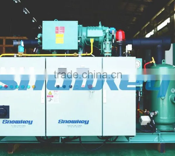 CHINA TOP 1 Commercial Ice Maker 10T Plate Ice Maker High Quality Ice Making Machine photo-2