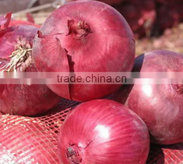 Chinese Lowest Price Fresh Red Onion photo-2